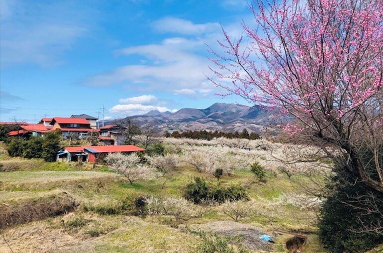 散歩風景