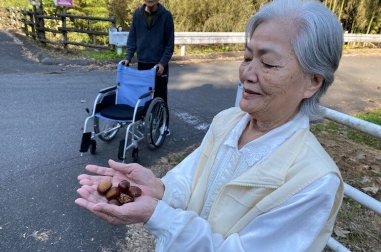 栗拾い
